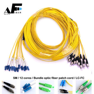 Awire Optic Fiber cable SM bundle 12 cores Patch cord LC-FC connector WPT84076 for FTTH